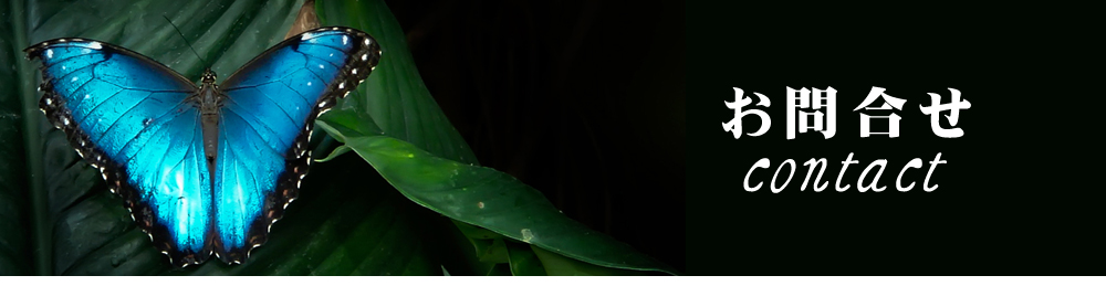 FLAVOR PLANNING（フレーバープランニング）お問合せ